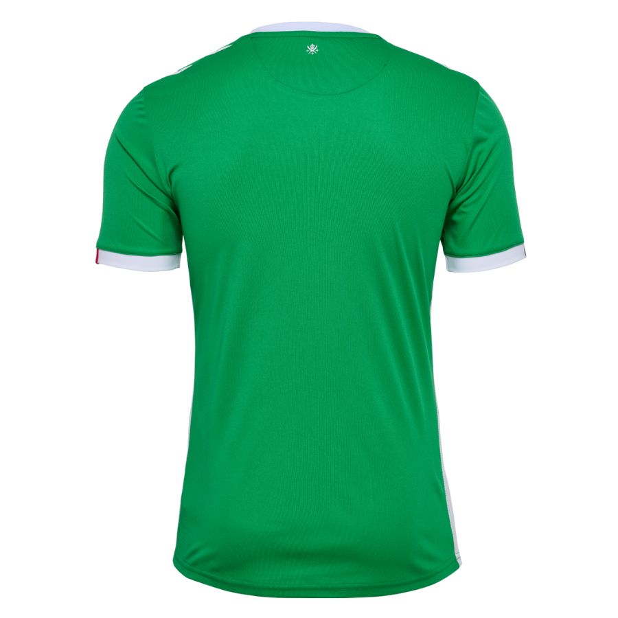 Maillot AS Saint Etienne Domicile 2024 2025 – Image 2