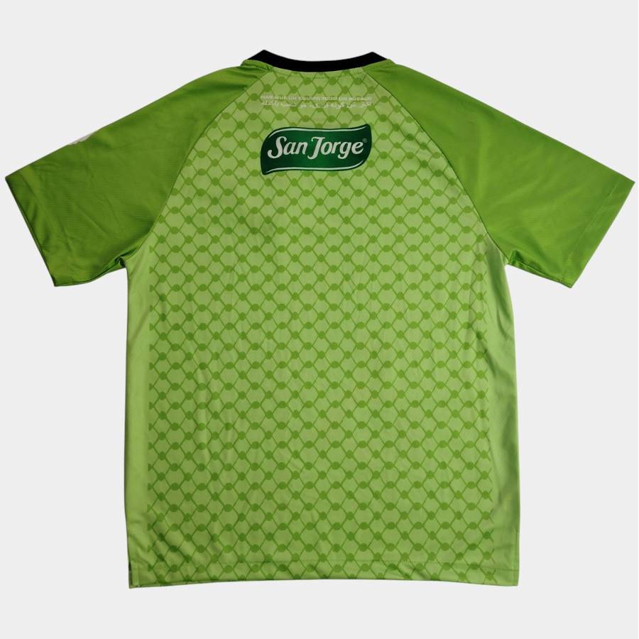 Maillot Palestine Special Edition 2025 2026 Vert – Image 2